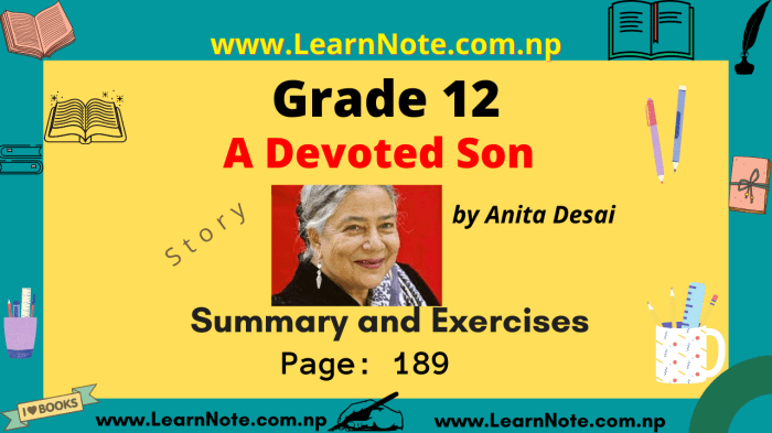 Anita desai a devoted son