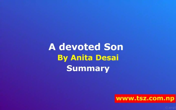 Anita desai a devoted son