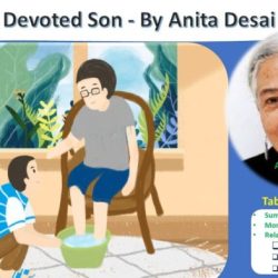 Anita desai a devoted son