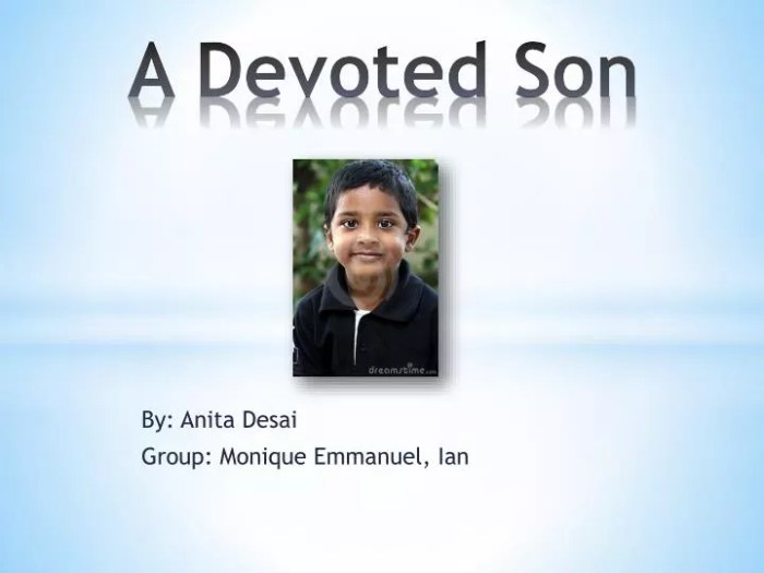 Anita desai a devoted son