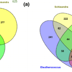 Mutual stocks single funds venn diagram vs commission fund securities fees expenses exchange some