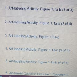 Art labeling activity figure 27.15 1 of 2