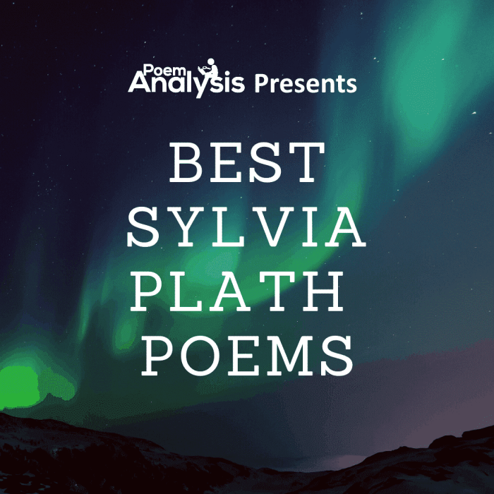 Themes of sylvia plath poetry