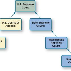 Icivics dual court system answer key