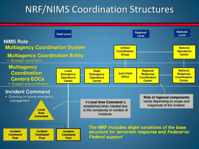 Which of the following statements about nims are correct